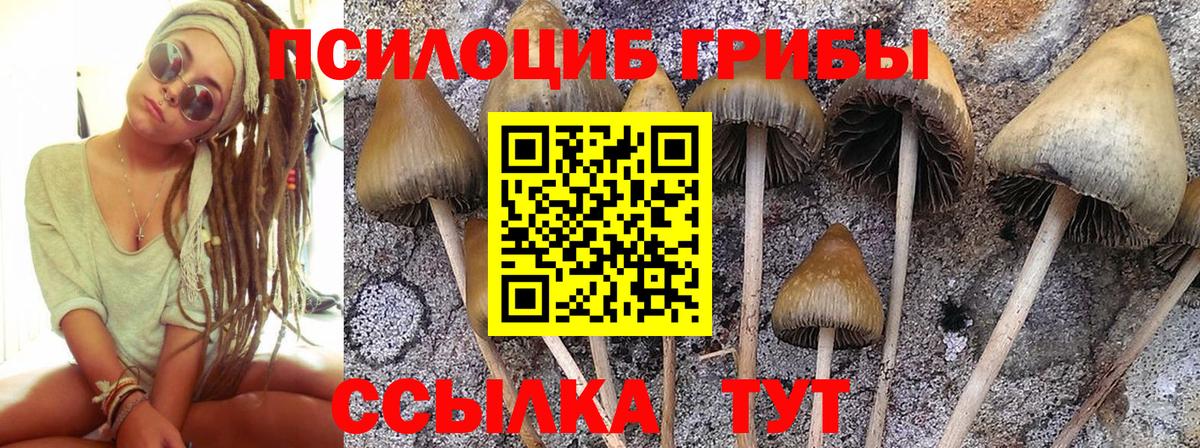 Галлюциногенные грибы MAGIC MUSHROOMS  Вход с VPN  Галлюциногенные грибы прущие грибы  хочу   Десногорск 